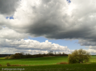 drama am Himmel, dunkle Wolken, Aptilwetter, Landschaft im April, wildeschoenheiten.wordpress.com