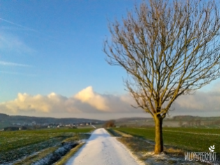 Wintermorgen mit Schnee 2019, © wildpeppermint-design.de